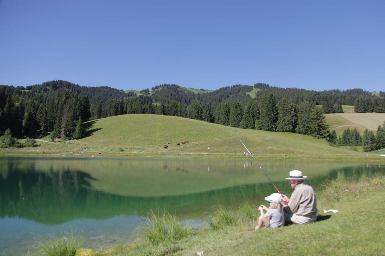Les Clochettes Villa Megeve Ngoại thất bức ảnh
