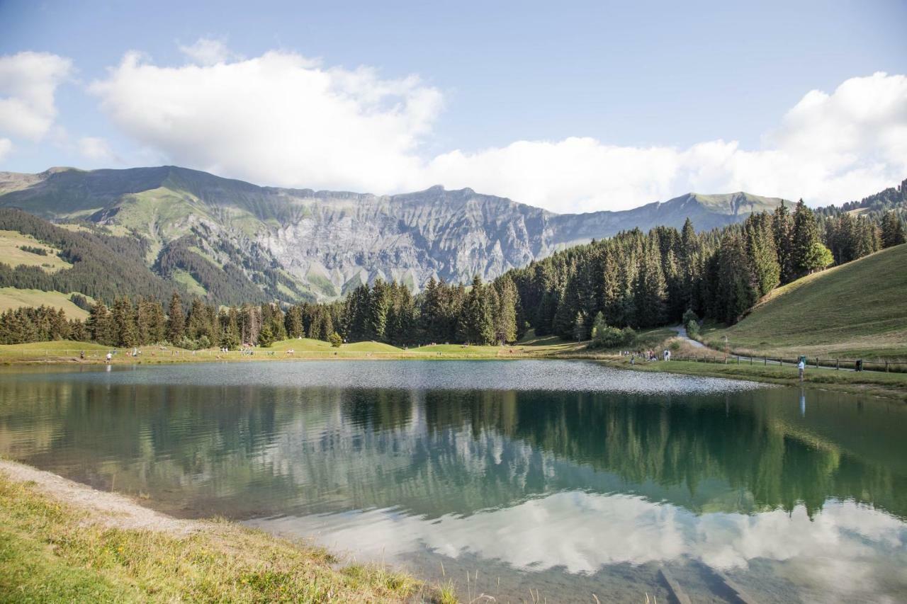 Les Clochettes Villa Megeve Ngoại thất bức ảnh